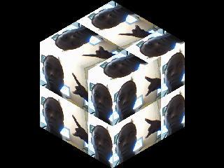 tapha sarr